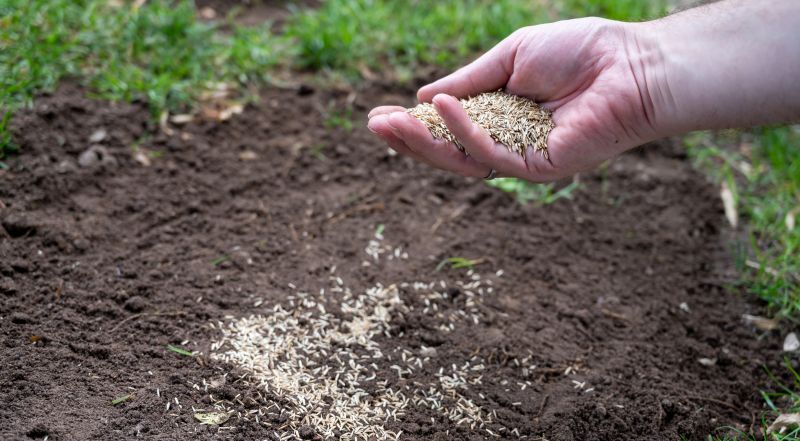 Grass Seed Installation in Honolulu, HI