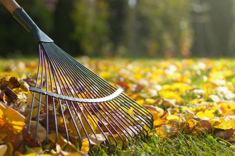 Autumn Lawn Equipment