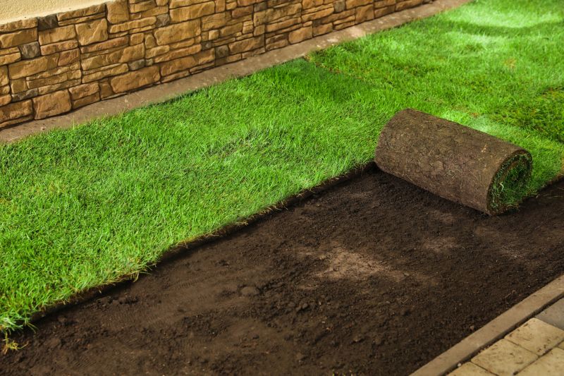 Ryegrass Sod Installation in Ventura County, CA